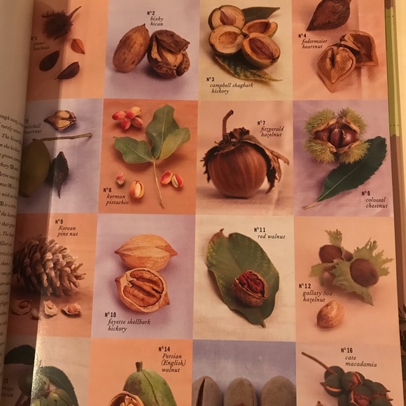 Christmas with Martha Stewart Living Classic Crafts and Recipes book - Picture 5 of 14